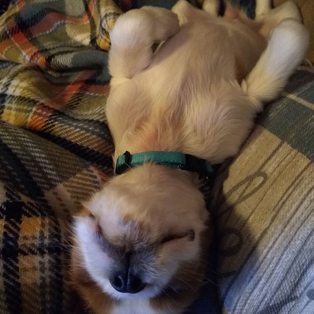 Meet your Posher, Drake